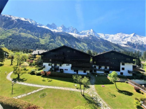 Chamonix superbe appartement vue Mont Blanc